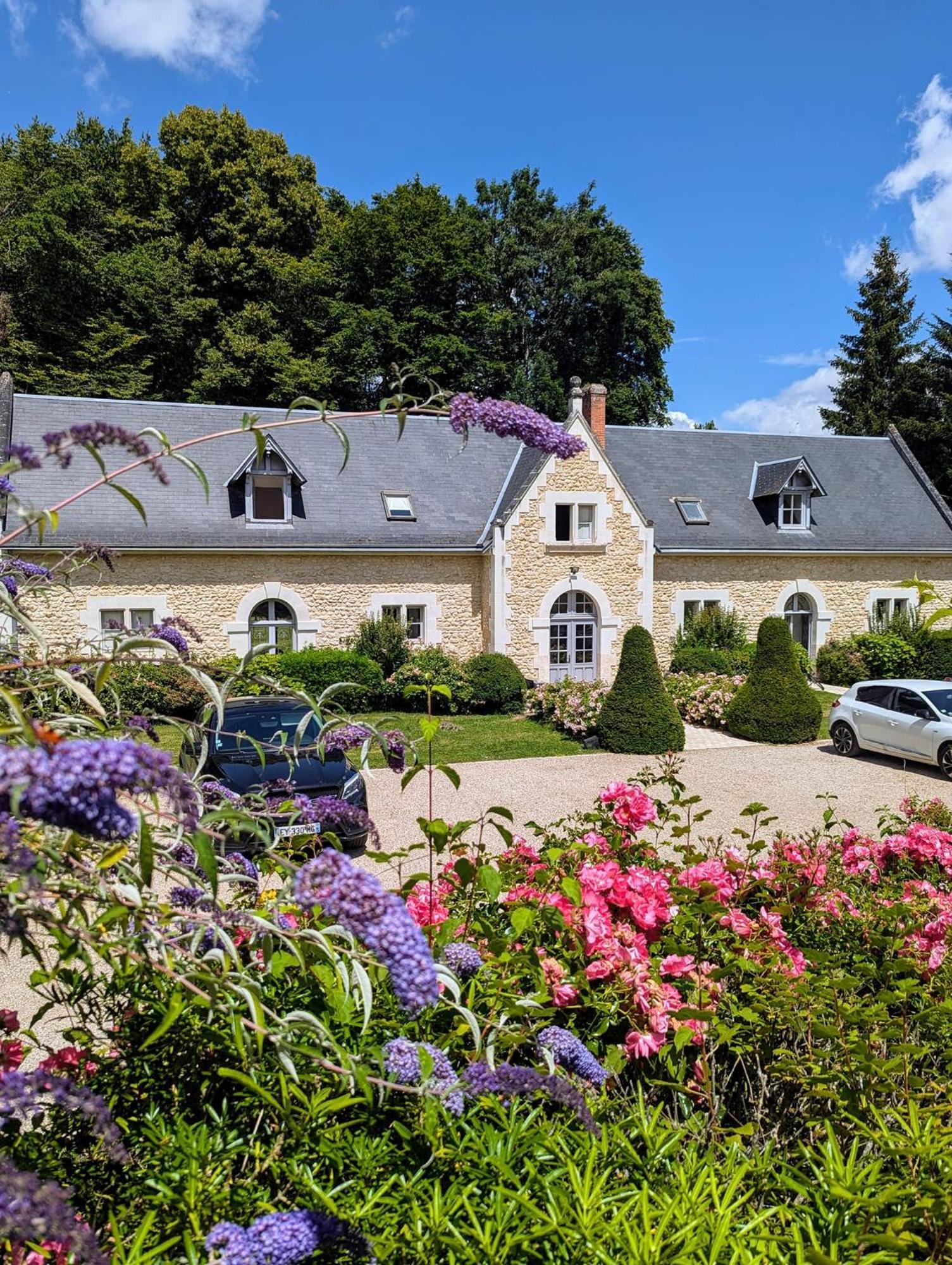 Chissay-en-Touraine Chateau De La Menaudiere מראה חיצוני תמונה