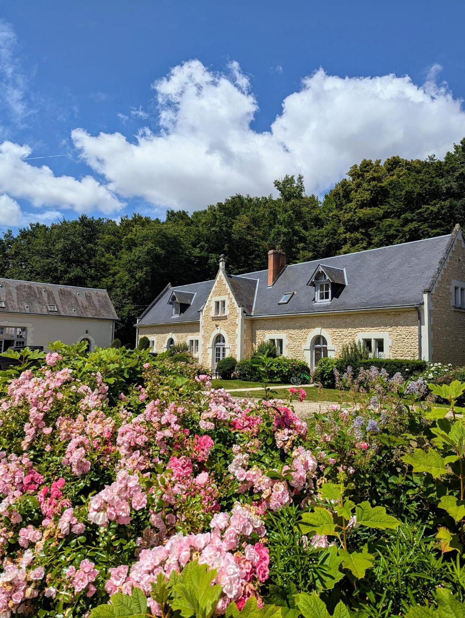 Chissay-en-Touraine Chateau De La Menaudiere מראה חיצוני תמונה